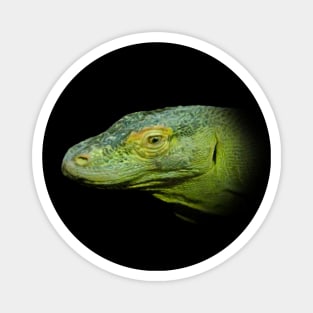 Komodo dragon Magnet